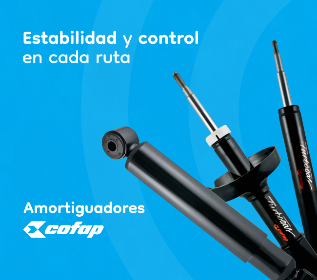 LARRIQUE Amortiguadores