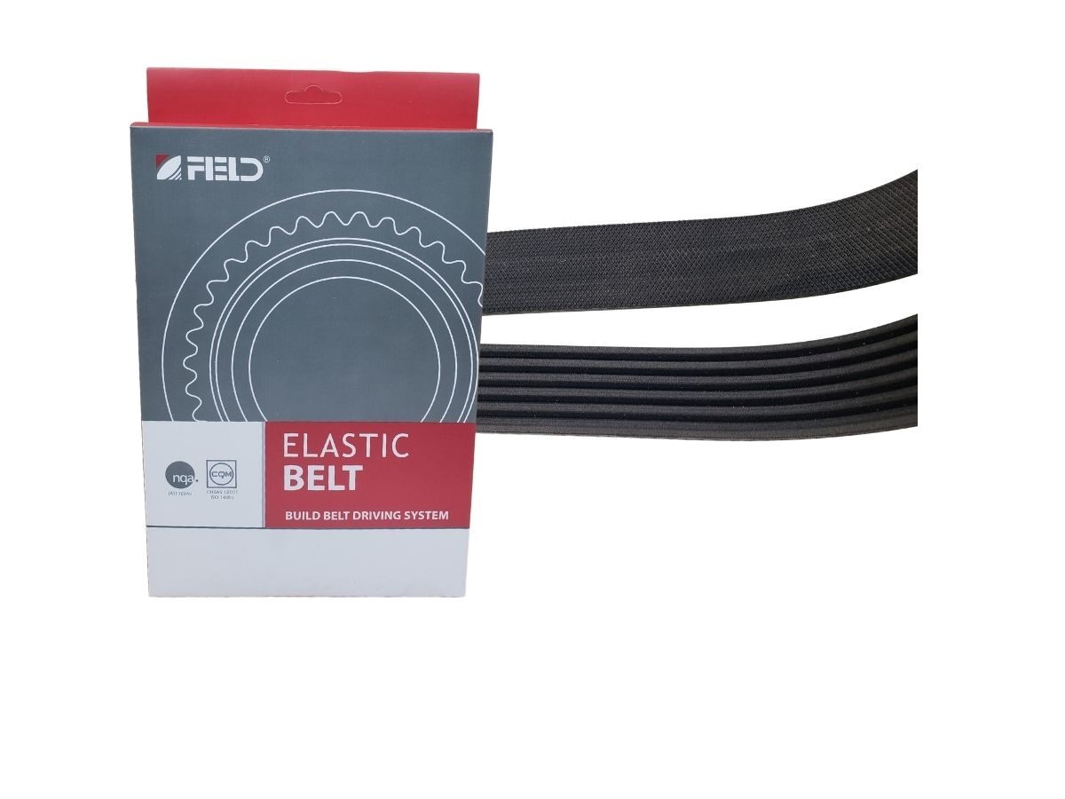 5PK1231ELASTFED Correa Elástica de Accesorios Chev