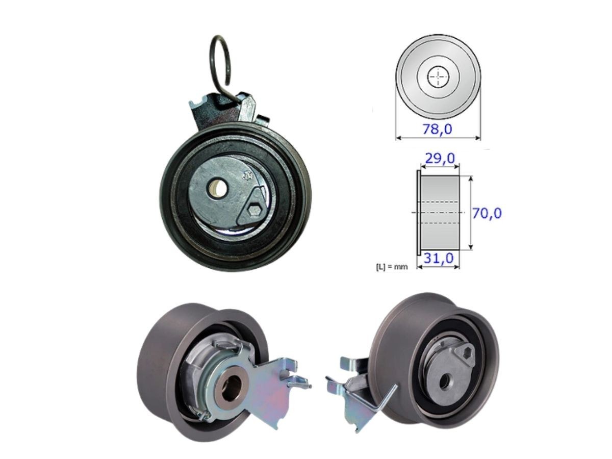 Tensor Correa Distribución
