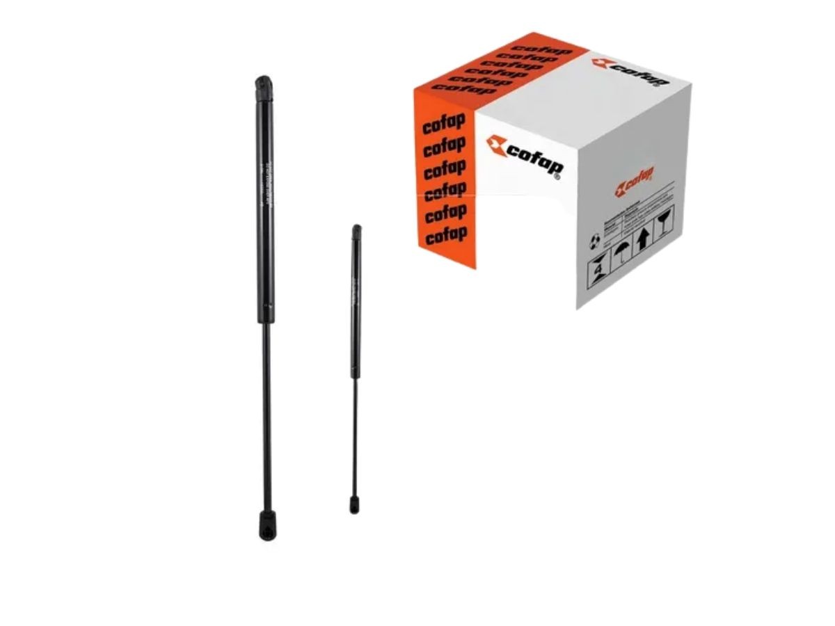 Amortiguador Puerta Trasera 