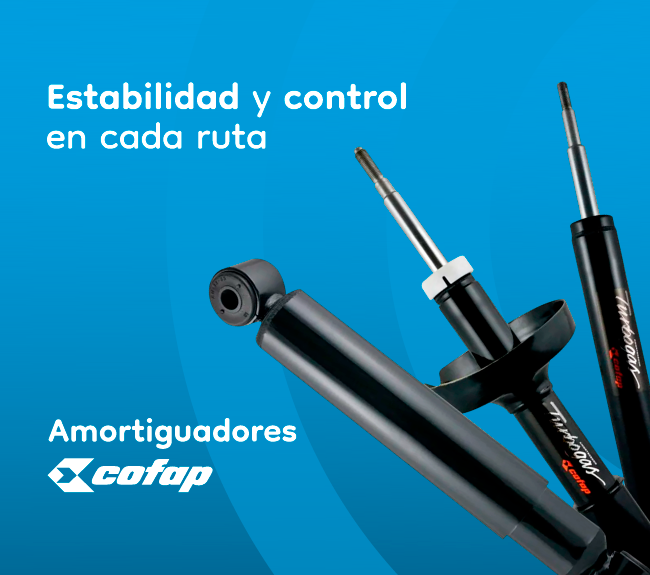 LARRIQUE Amortiguadores