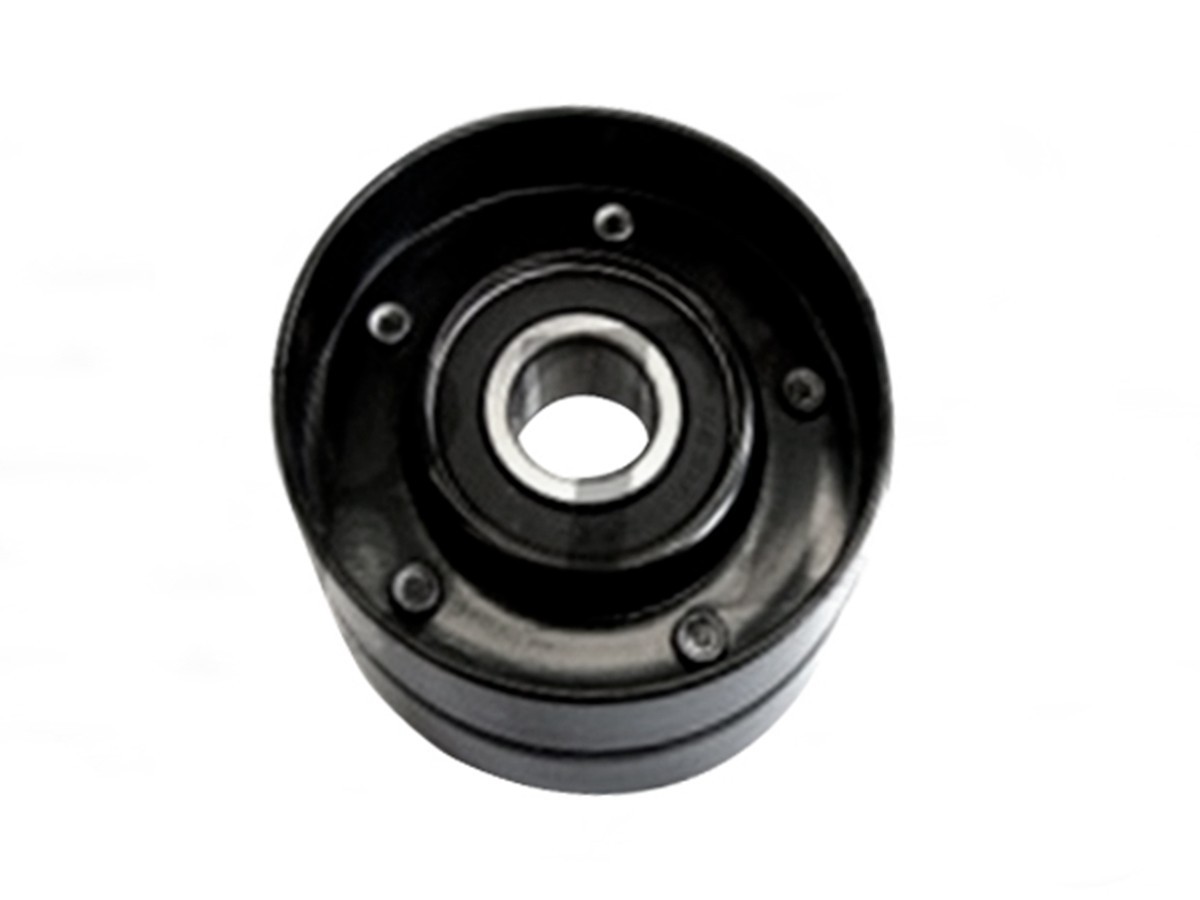 Polea Del Tensor Guia Correa BMW Chevrolet  Daewoo Fiat Lifan Volks 93-25