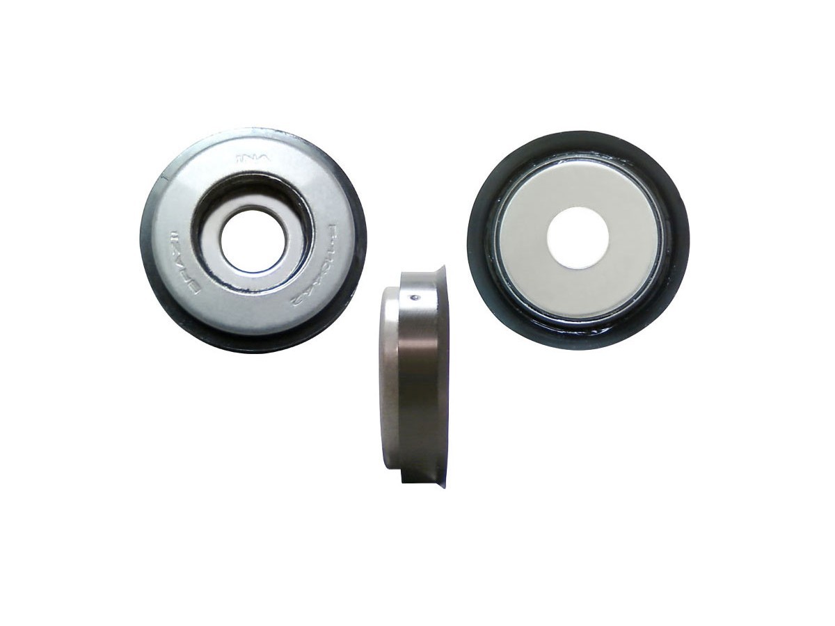 Delantera - Solo grapodina