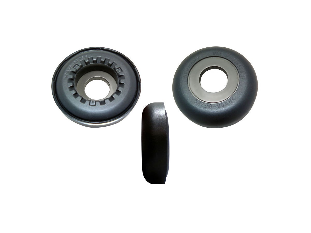 Delantera - Solo grapodina