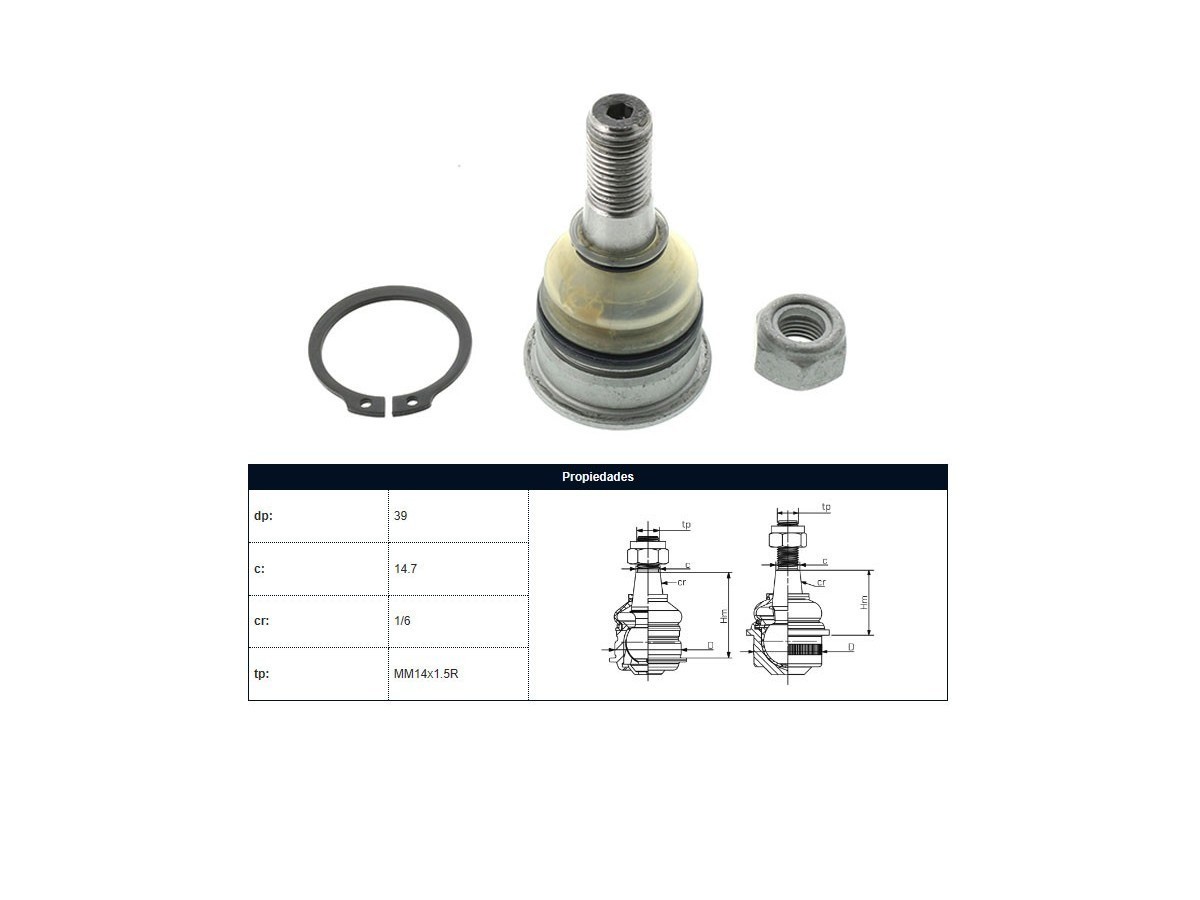Rotula Delantera Nissan Sentra B14/Sentra B13 82-17 Der/Izq
