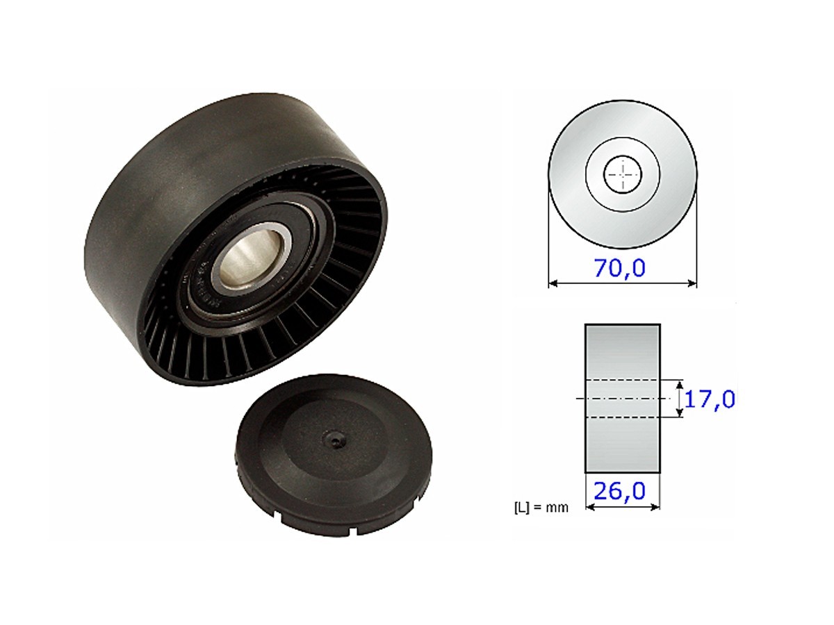 Tensor Guia Correa de Accesorios Peugeot 206/306/406-Bmw 318/320/530D/X3/X5-Toyota Corolla Chev/Prisma-Ford Escort/Ecosport/Fiesta/F150/Focus/Ranger4x4/4x2