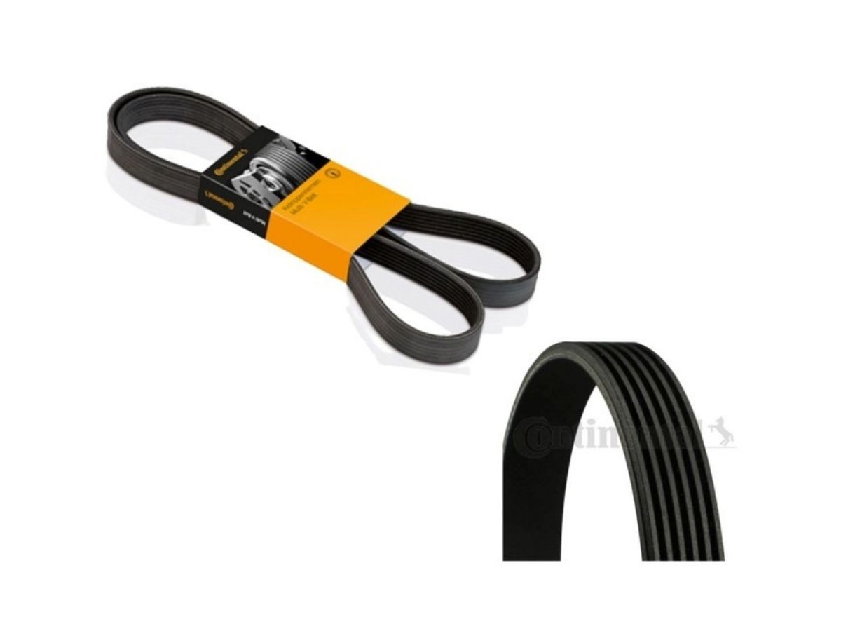  4PK798ELASTINA Correa Elástica de Accesorios Renault