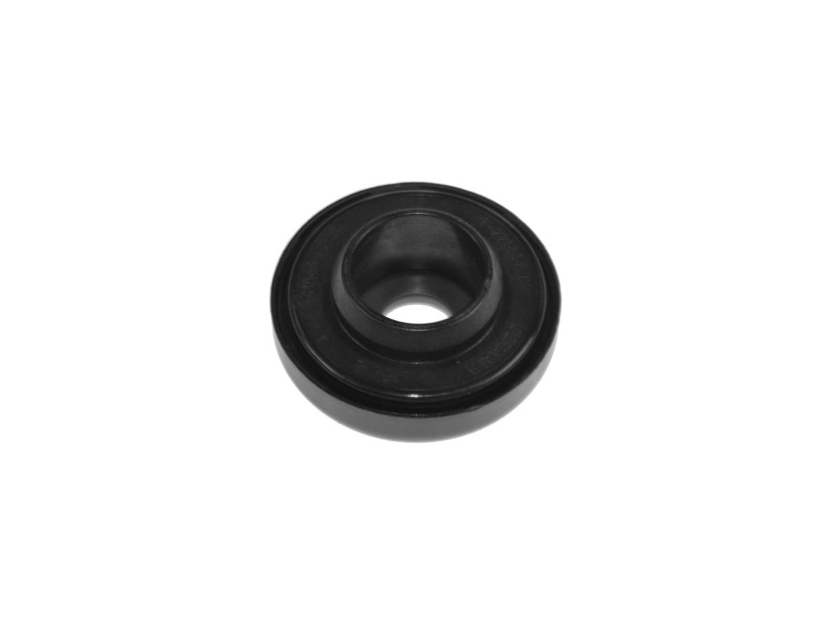 Delantera - Solo grapodina